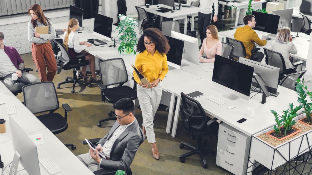  jeunes hommes d'affaires professionnels travaillant avec des ordinateurs et des papiers au bureau